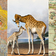Illustration for article titled 11 Totally Free Images From NYC's Best Museums and Libraries